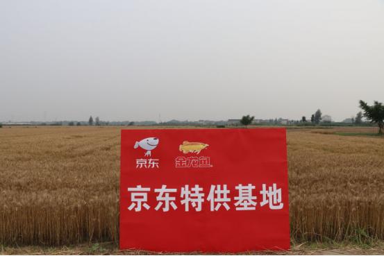 世界杯期间你所不知道的京东618：24小时不停机生产包火车送货