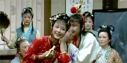 红楼梦金陵十二钗原文解析,红楼梦金陵十二钗的解释