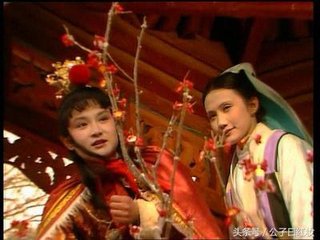 红楼梦金陵十二钗原文解析,红楼梦金陵十二钗的解释