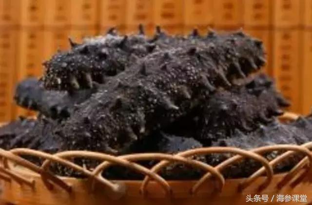 贵的海参和便宜的海参区别在哪里,南方海参和北方海参区别