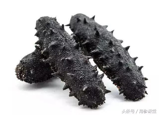 贵的海参和便宜的海参区别在哪里,南方海参和北方海参区别