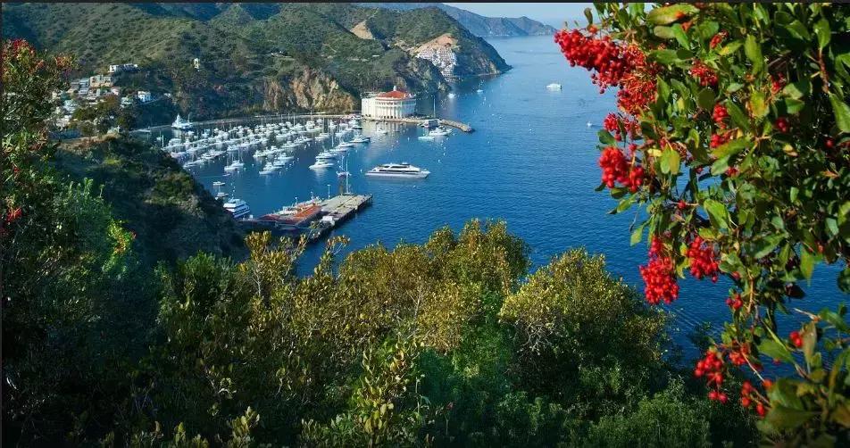 洛杉矶到底有多好玩,洛杉矶玩什么比较好