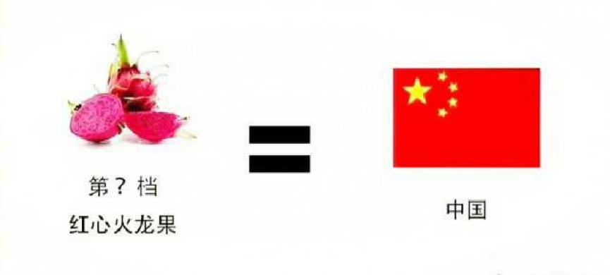 伪球迷世界杯观赛攻略,伪球迷世界杯讲解