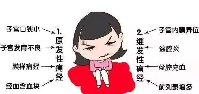 女性的身体科普图片,来大姨妈是什么颜色才正常