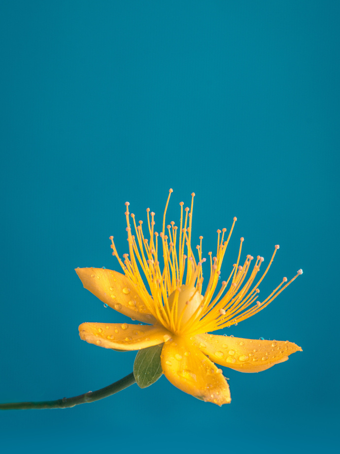 ipad自带壁纸超清全面屏,ipad壁纸11寸4k高清壁纸绿色系