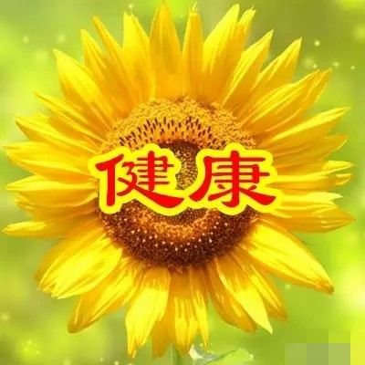 今日父亲节,6朵吉祥的花送给天下所有的父亲,愿你们健康幸福