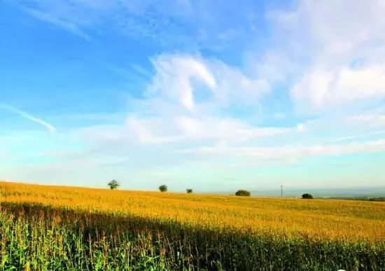 百年传奇尼康十大经典相机和镜头,尼康老相机镜头推荐