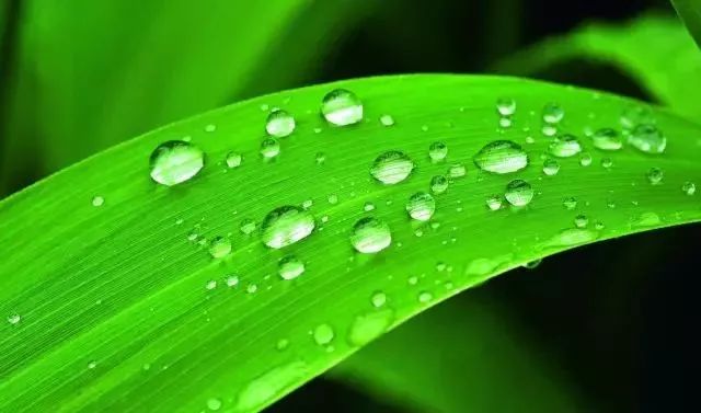 百年传奇尼康十大经典相机和镜头,尼康老相机镜头推荐