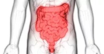 什么情况的便血需要就医,什么是便血尿血