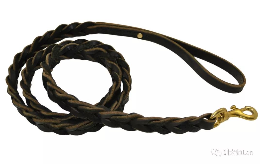 遛狗把牵引绳放了狗狗就不走了,遛狗的时候狗总是咬牵引带怎么办