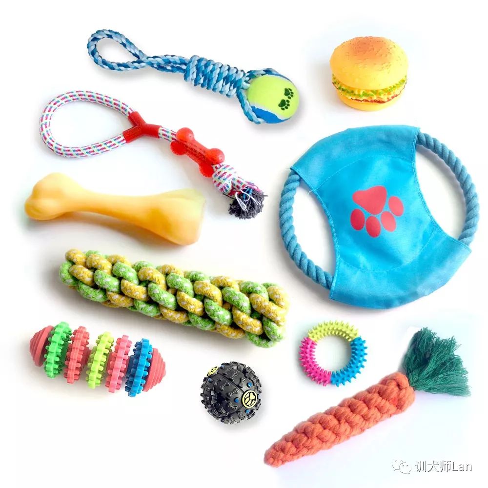 遛狗把牵引绳放了狗狗就不走了,遛狗的时候狗总是咬牵引带怎么办