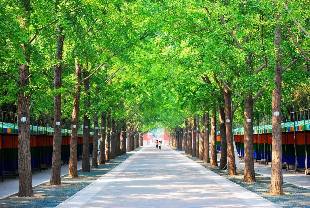 端午节北京免费游玩,北京端午节假日免费开放景点