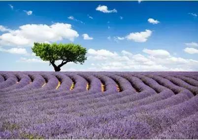 端午节北京免费游玩,北京端午节假日免费开放景点