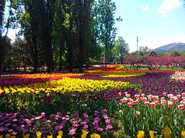 端午节北京免费游玩,北京端午节假日免费开放景点