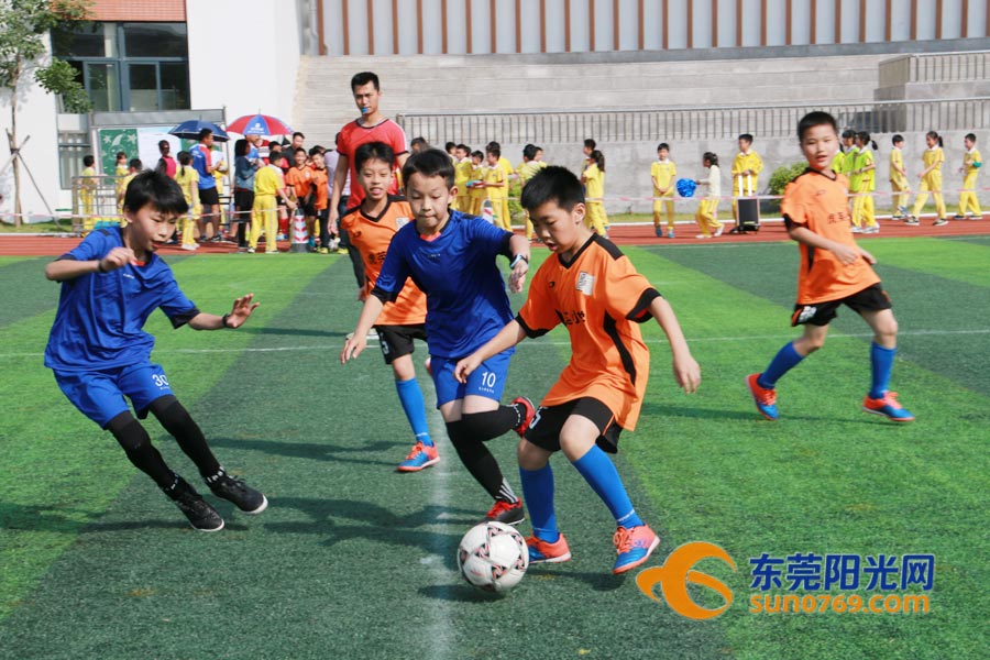 东莞非遗文化体验之旅,东莞市非物质文化遗产走进校园