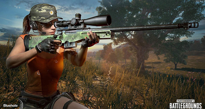 吃鸡刺激战场新版本枪械,刺激战场吃鸡神器的最新版本