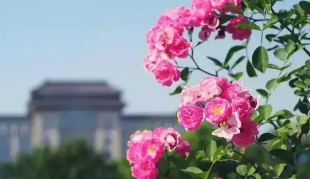 超级英雄父亲节礼物,父亲节超级英雄