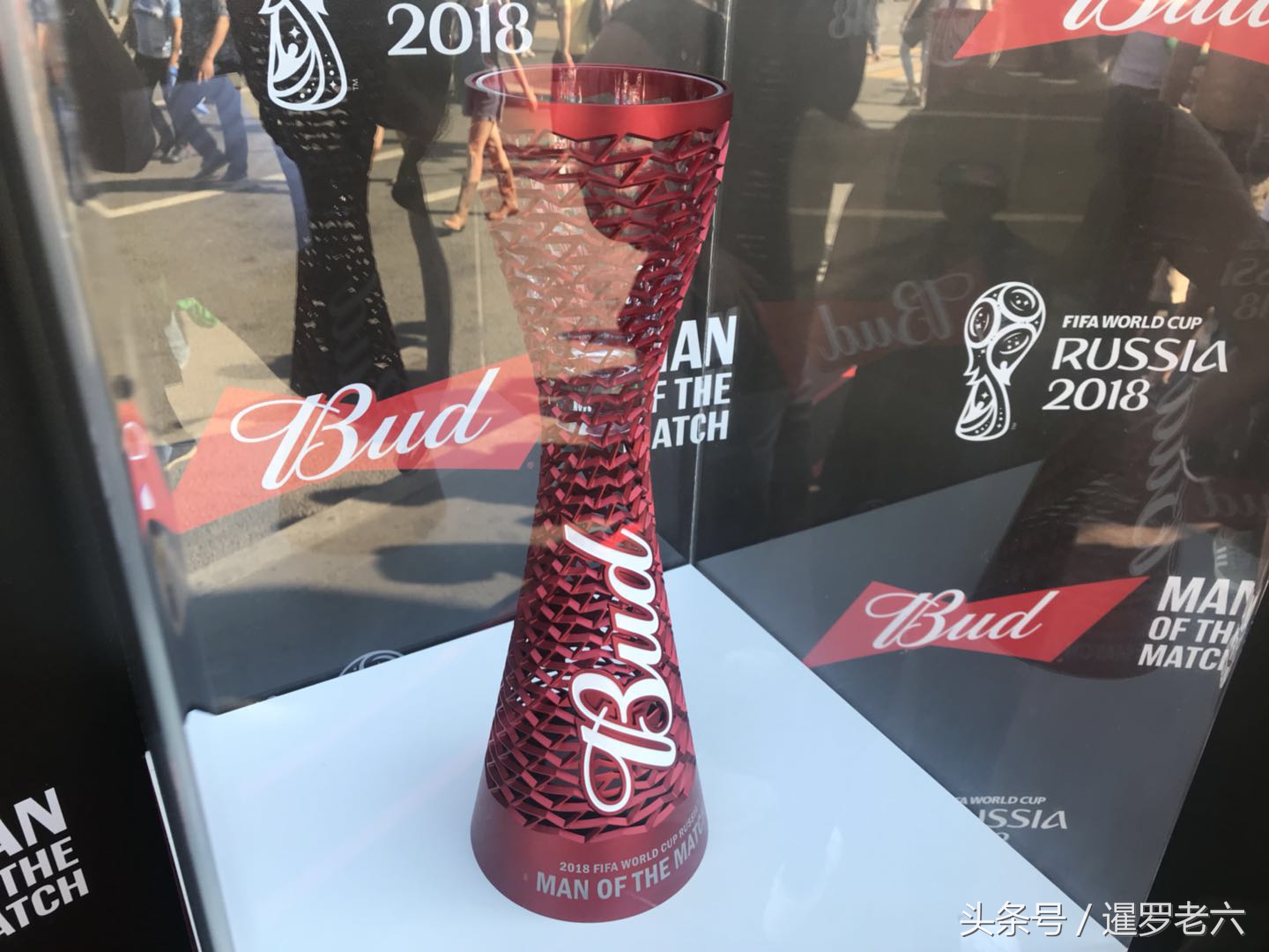 冰岛传奇门将,冰岛门将欧洲杯