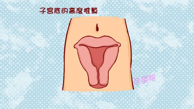 知道预产期怎么算多少周,想知道自己的预产期