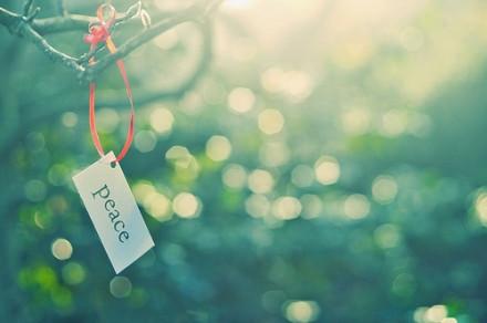 害怕被欺骗又讨厌自己疑神疑鬼时，应该怎么办？