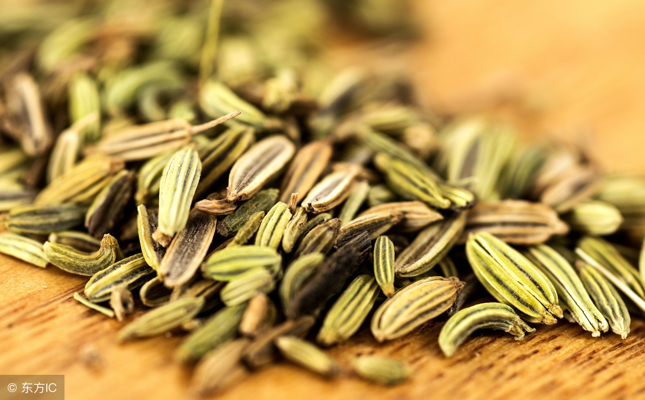 中医养生春季养阳教你简单3招,温脾阳祛湿的中药