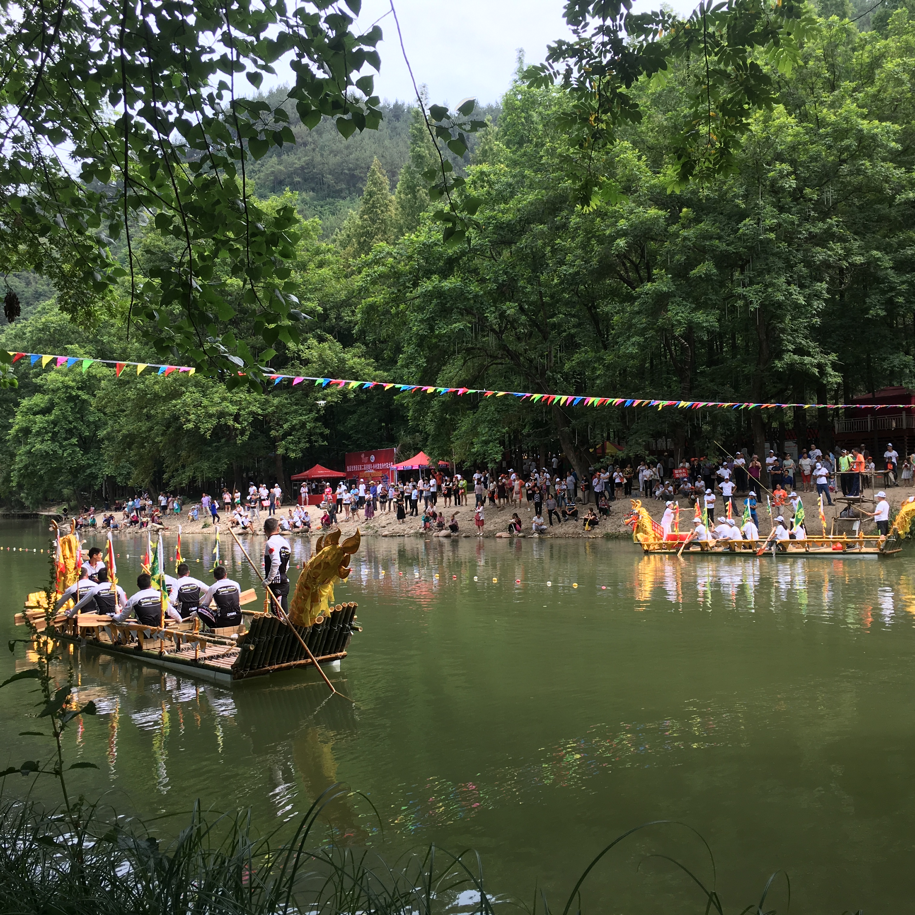 粽情端午深度解析,粽情端午季