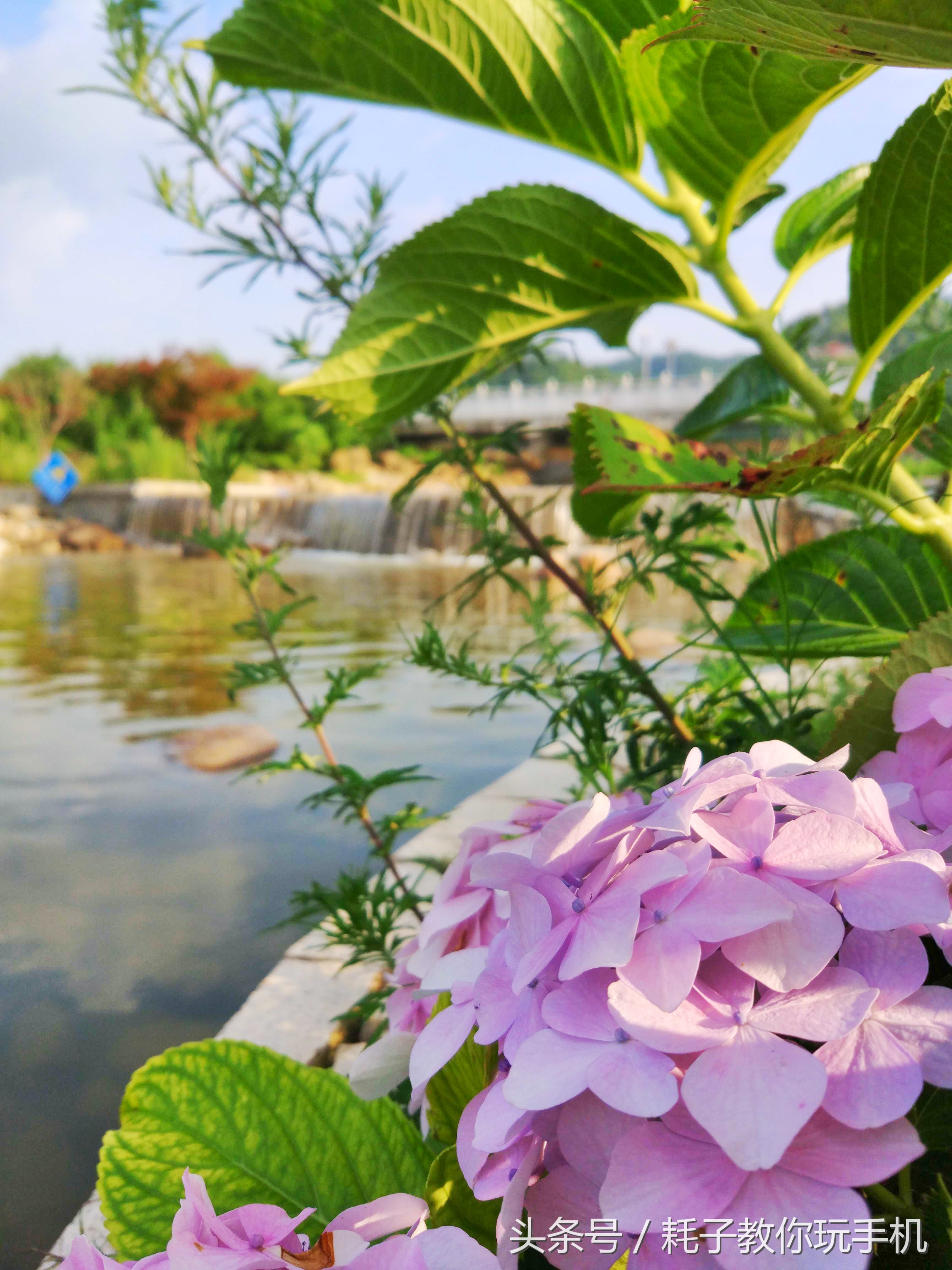 小米10升级miui14后的拍照咋样,小米5拍照为什么强