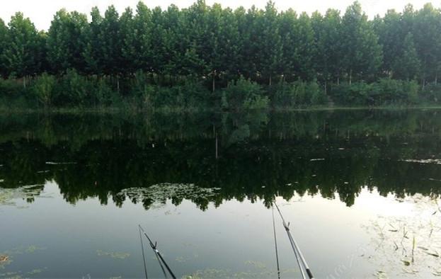 我辜负了你们，以为只是钓着玩结果没想到