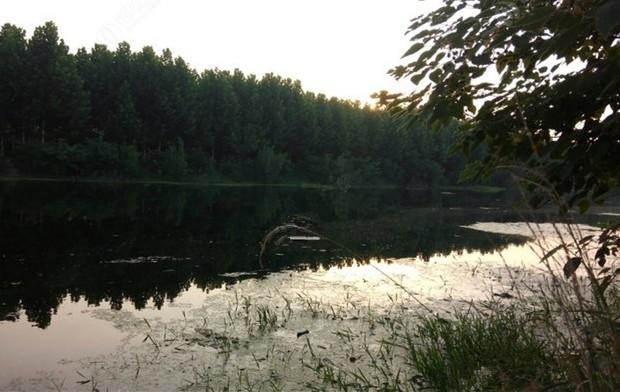 我辜负了你们，以为只是钓着玩结果没想到