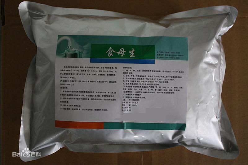 端午又逢父亲节!胡吃海塞后的消化不良如何解决?