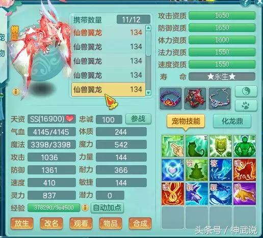 神武仙兽翼龙5技能多少钱,神武3龙宫攻略