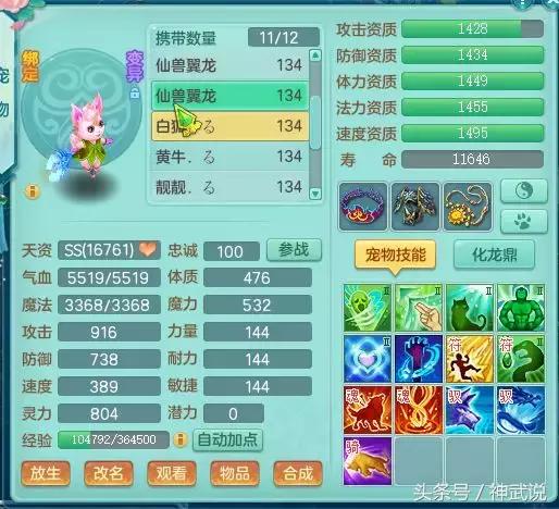 神武仙兽翼龙5技能多少钱,神武3龙宫攻略