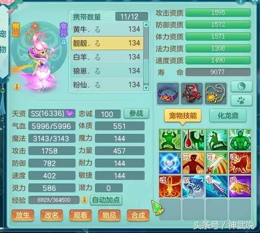 神武仙兽翼龙5技能多少钱,神武3龙宫攻略