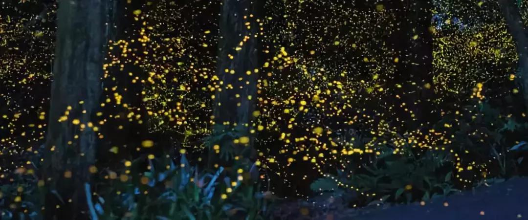 你欠父母什么时候还,成都周边值得带父母旅行的地方