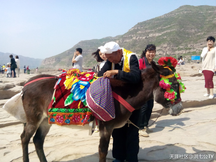 咚咚锵、咚咚锵,带着华妃去*藏西**!(一)