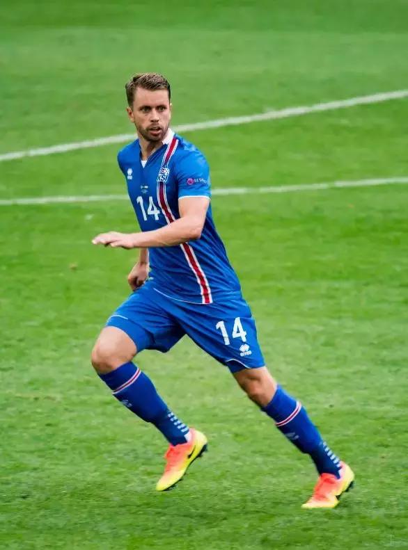 2018年冰岛足球队成绩,冰岛队历届世界杯排名