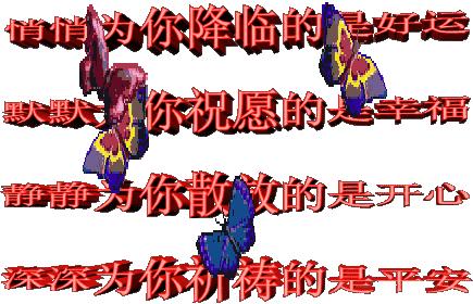 端午节问候网红视频,端午节问候视频