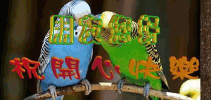 端午节问候网红视频,端午节问候视频