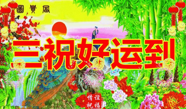 端午节问候网红视频,端午节问候视频