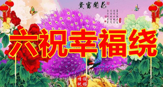 端午节问候网红视频,端午节问候视频