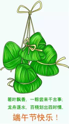 端午节问候网红视频,端午节问候视频