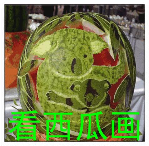 端午节问候网红视频,端午节问候视频