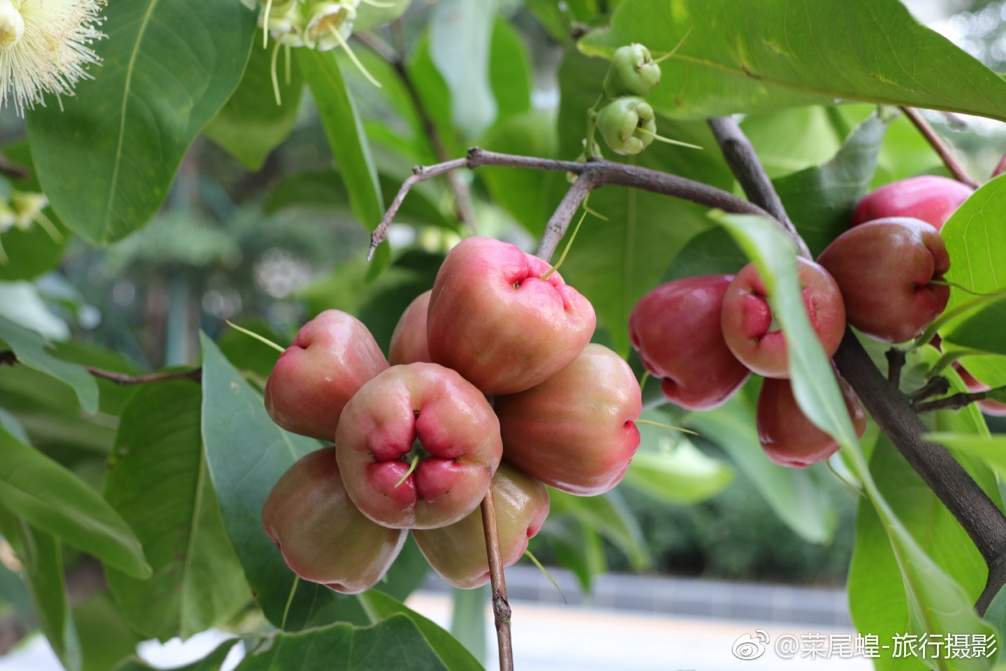 深圳酒店看欧洲杯,深圳看世界杯酒店