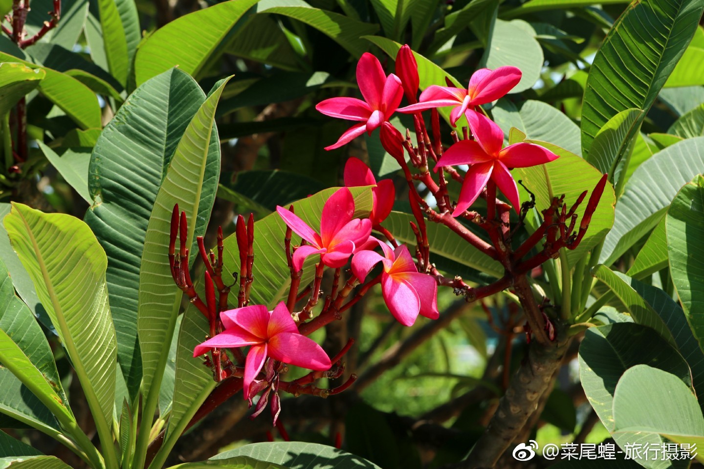 深圳酒店看欧洲杯,深圳看世界杯酒店