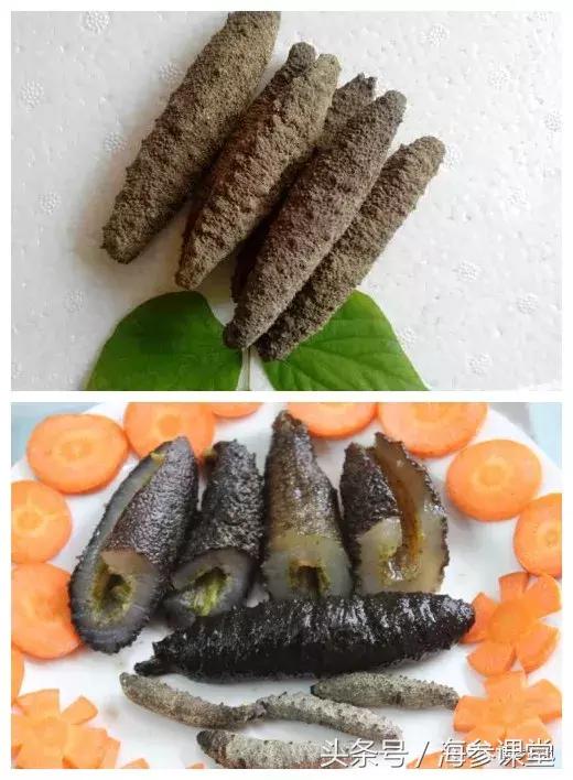 为什么有的海参没有筋,有刺海参和无刺海参价格差多少