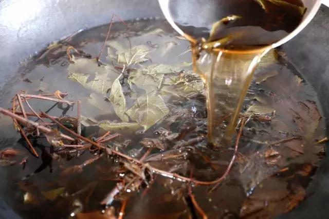 关于艾草的妙用,艾草的养生奇效与保健方法