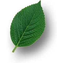 停电停水通知浙江宁波,宁波供电局停电公告最新通知