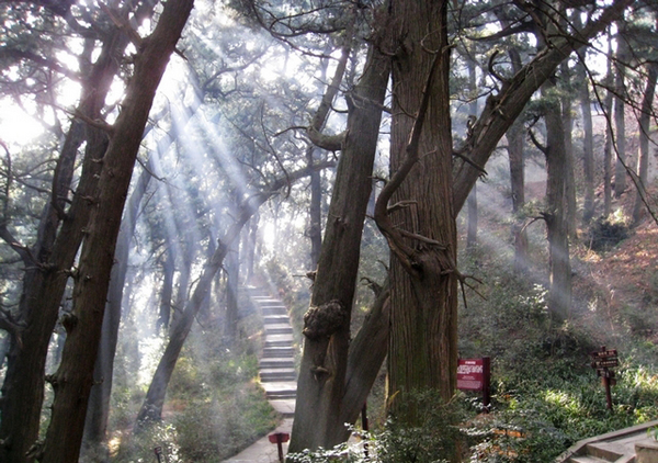 三言两语点评绵阳梓潼县旅游：再整整4A换5A！