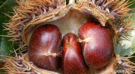 去天津旅游怎么买到便宜的特产,天津旅游必买的特产