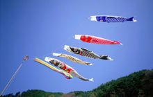 端午节有哪些民间风俗,家乡的风俗端午节赛龙舟